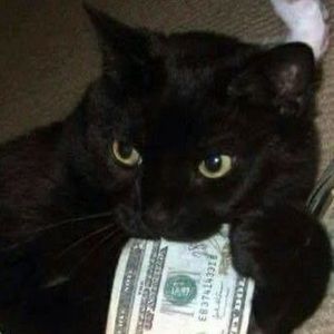 Meet your Posher, Serenity